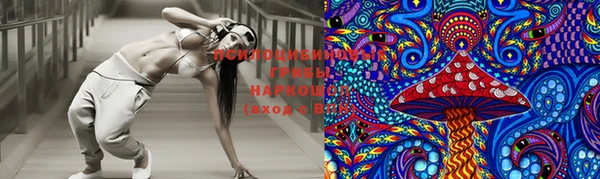 ешки Балахна