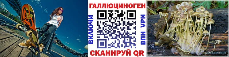 купить наркоту blacksprut сайт Псилоцибиновые грибы Cubensis Талица